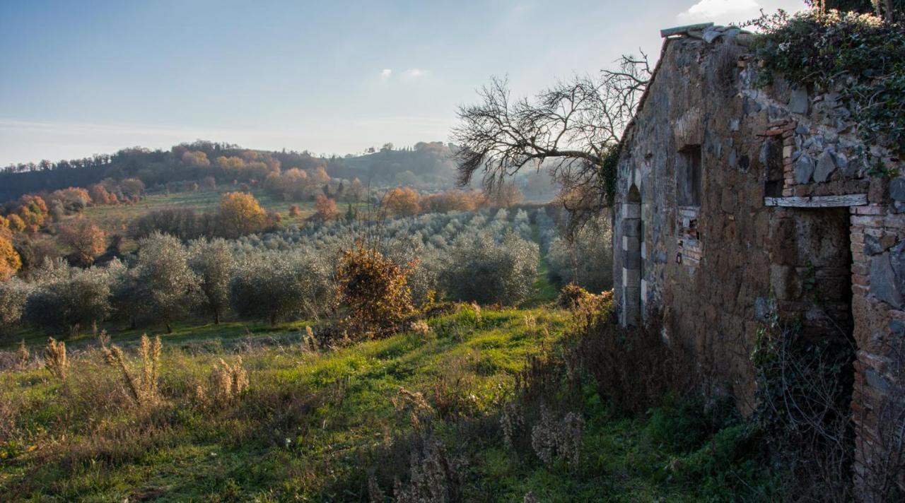 Villa Monteporzano オルヴィエート 部屋 写真